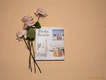 Principles Of Pretty Rooms - Phoebe Howard [KSIĄŻKA]