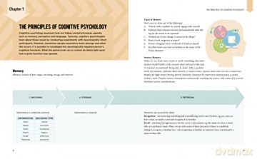 Principles Of Psychology - Shona Saul [KSIĄŻKA]