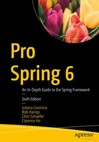 Pro Spring 6 - Cosmina Iuliana [KSIĄŻKA]