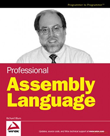 Professional Assembly Language - Blum [KSIĄŻKA]