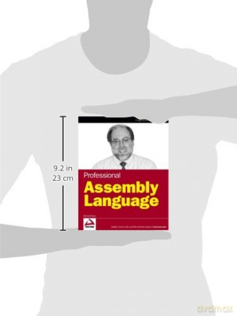 Professional Assembly Language - Blum [KSIĄŻKA]