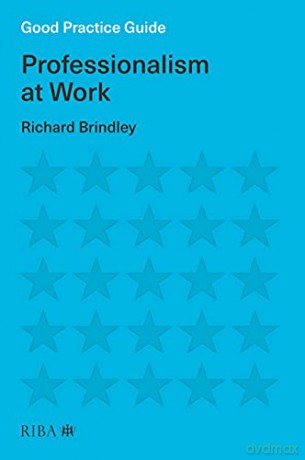 Professionalism At Work - Richard Brindley [KSIĄŻKA]