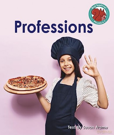Professions - Susan Frame [KSIĄŻKA]