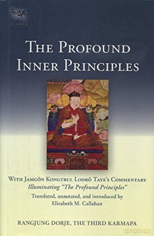 Profound Inner Principles - Rangjung Thir Dorje [KSIĄŻKA]