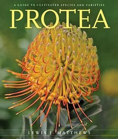 Protea - Matthews [KSIĄŻKA]