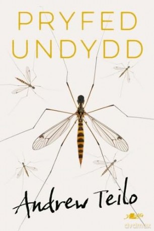 Pryfed Undydd - Andrew Teilo [KSIĄŻKA]