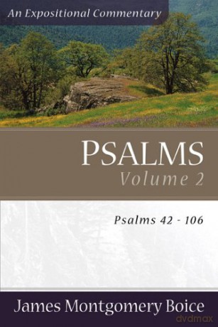Psalms 42-106 - Boice James Montgom [KSIĄŻKA]
