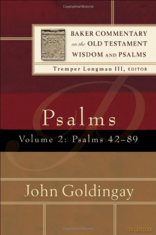 Psalms Vol 2 - John Goldingay [KSIĄŻKA]