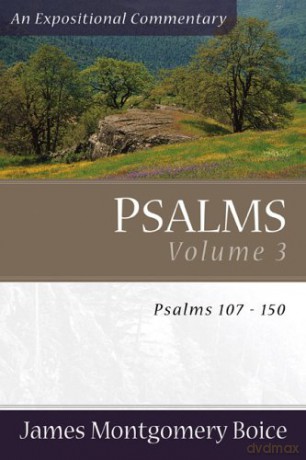 Psalms Vol 3 - Boice James Montgom [KSIĄŻKA]