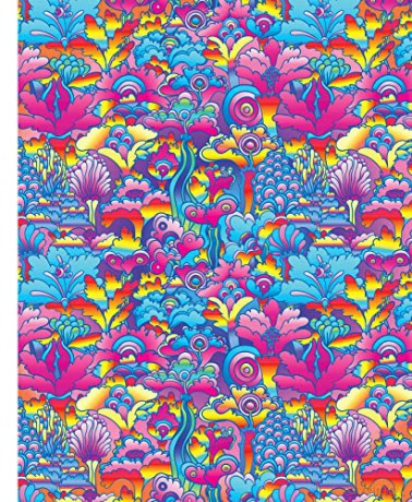 Psychedelic - Adams Media [KSIĄŻKA]