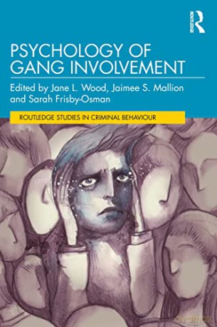 Psychology Of Gang Involvement - Jane L Wood [KSIĄŻKA]