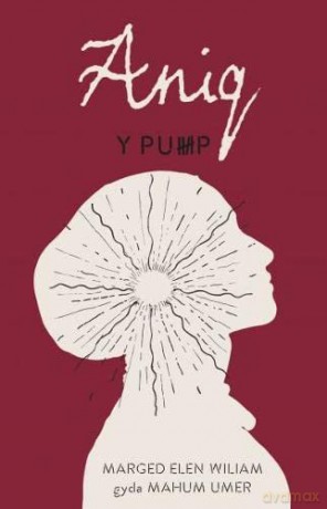 Pump Y Aniq [KSIĄŻKA]