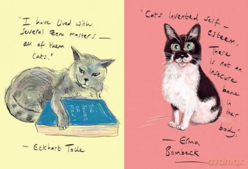 Puss In Books - Paul Magrs [KSIĄŻKA]