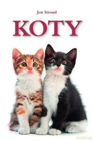 Koty - Stroud Jon [KSIĄŻKA]