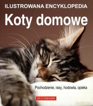 Koty Domowe Ilustrowana Encyklopedia - Davidson Catherine [KSIĄŻKA]