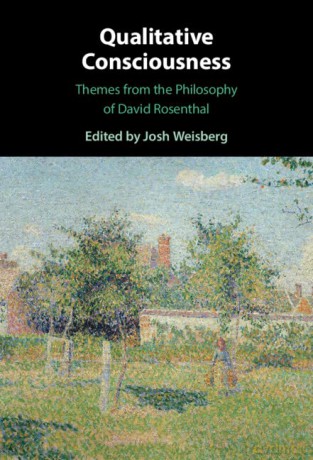 Qualitative Consciousness - Josh Weisberg [KSIĄŻKA]