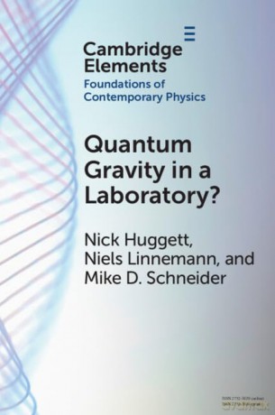 Quantum Gravity In A Laboratory - Huggett Nick [KSIĄŻKA]