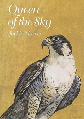 Queen Of The Sky - Jackie Morris [KSIĄŻKA]