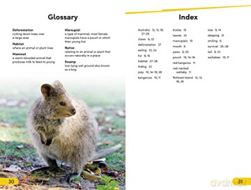 Quokkas Level 2 [KSIĄŻKA]