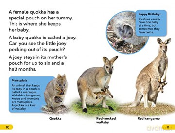 Quokkas Level 2 [KSIĄŻKA]