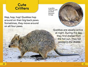 Quokkas Level 2 [KSIĄŻKA]