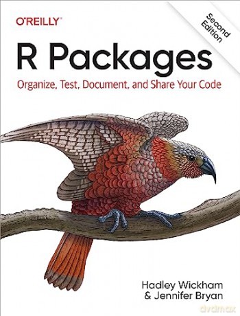 R Packages - Hadley Wickham [KSIĄŻKA]