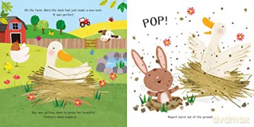Rabbits Dont Lay Eggs - Paula Metcalf [KSIĄŻKA]