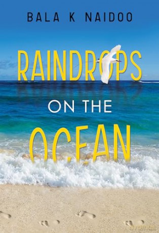 Raindrops On The Ocean - Bala Naidoo [KSIĄŻKA]
