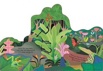 Rainforest - Amelia Warren [KSIĄŻKA]