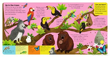 Rainforest Sound Book - Catherine Ard [KSIĄŻKA]