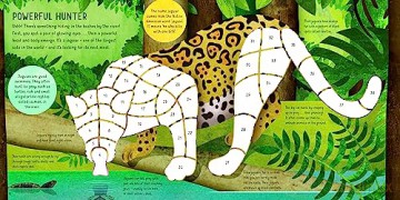 Rainforest Sticker By Number - Kathryn Jewitt [KSIĄŻKA]