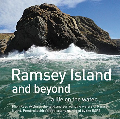 Ramsey Island - Ffion Rees [KSIĄŻKA]