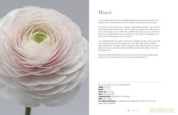 Ranuculus - Naomi Slade [KSIĄŻKA]