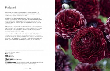 Ranuculus - Naomi Slade [KSIĄŻKA]