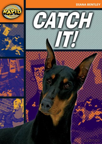 Rapid Starter Level Catch It [KSIĄŻKA]