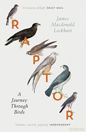 Raptor A Journey Through Birds - James M Lockhart [KSIĄŻKA]