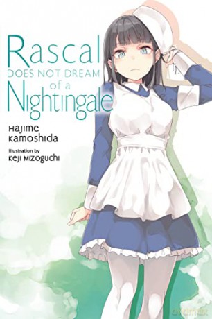 Rascal Does Not Dream Vol 11 - Hajime Kamoshida [KSIĄŻKA]