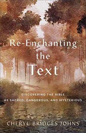 Re Enchanting The Text - Bridges Johns Chery [KSIĄŻKA]