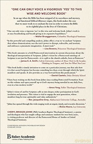 Re Enchanting The Text - Bridges Johns Chery [KSIĄŻKA]