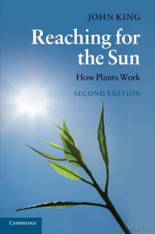 Reaching For The Sun - John King [KSIĄŻKA]