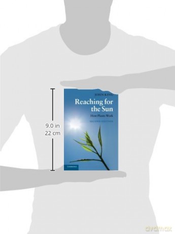 Reaching For The Sun - John King [KSIĄŻKA]