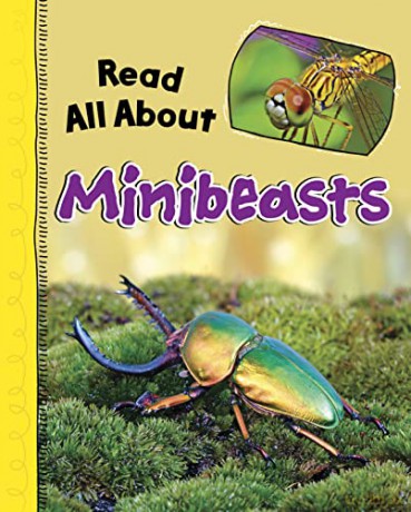 Read All About Minibeasts - Mae Respicio [KSIĄŻKA]