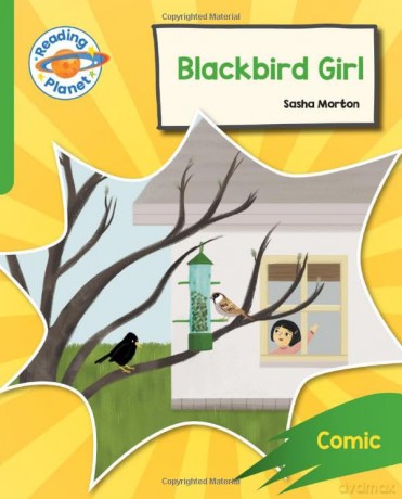 Reading Planet Rocket Phonics Target Pra - Sasha Morton [KSIĄŻKA]