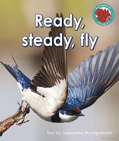 Ready Steady Fly - Samanth Montgomerie [KSIĄŻKA]