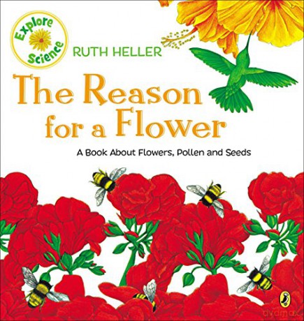 Reason For A Flower - Ruth Heller [KSIĄŻKA]