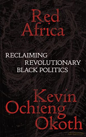 Red Africa - Kevin Ochieng Okoth [KSIĄŻKA]