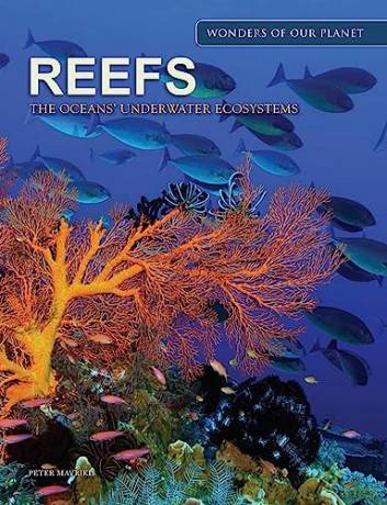 Reefs - Peter Mavrikis [KSIĄŻKA]