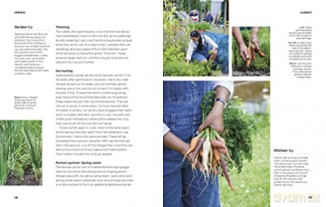 Rekhas Kitchen Garden - Rekha Mistry [KSIĄŻKA]