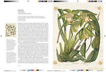 Remarkable Plants That Shape Our World - Helen Bynum [KSIĄŻKA]