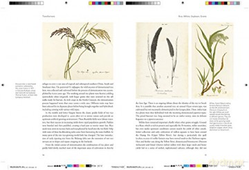 Remarkable Plants That Shape Our World - Helen Bynum [KSIĄŻKA]